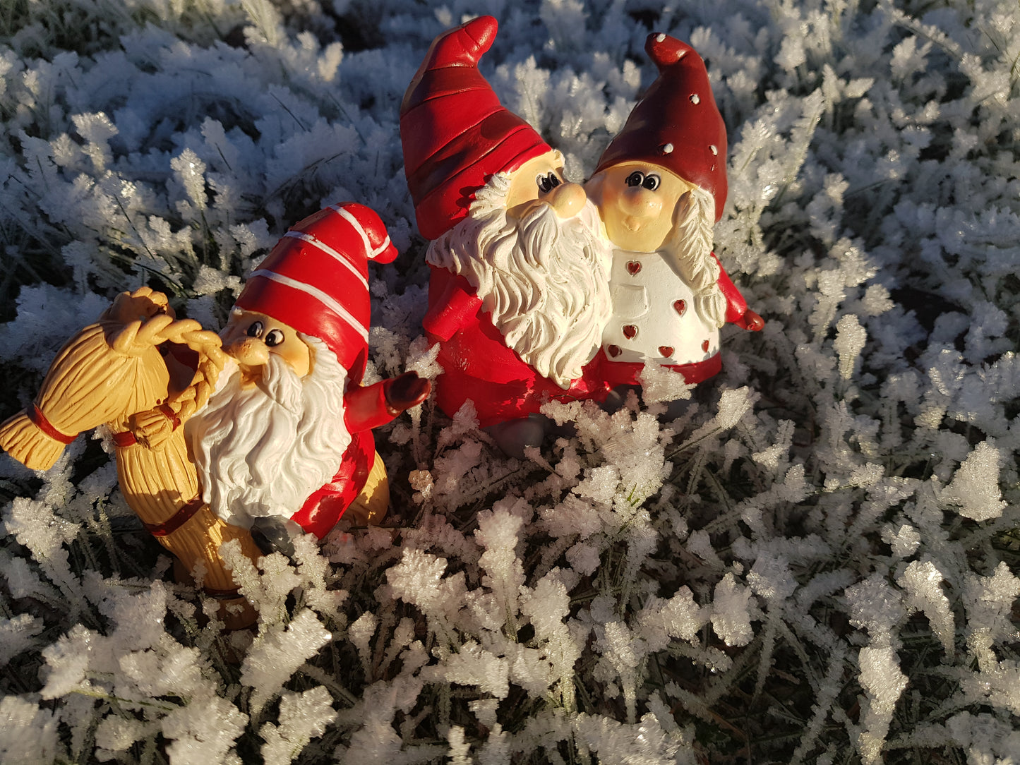 Tomte på julbock