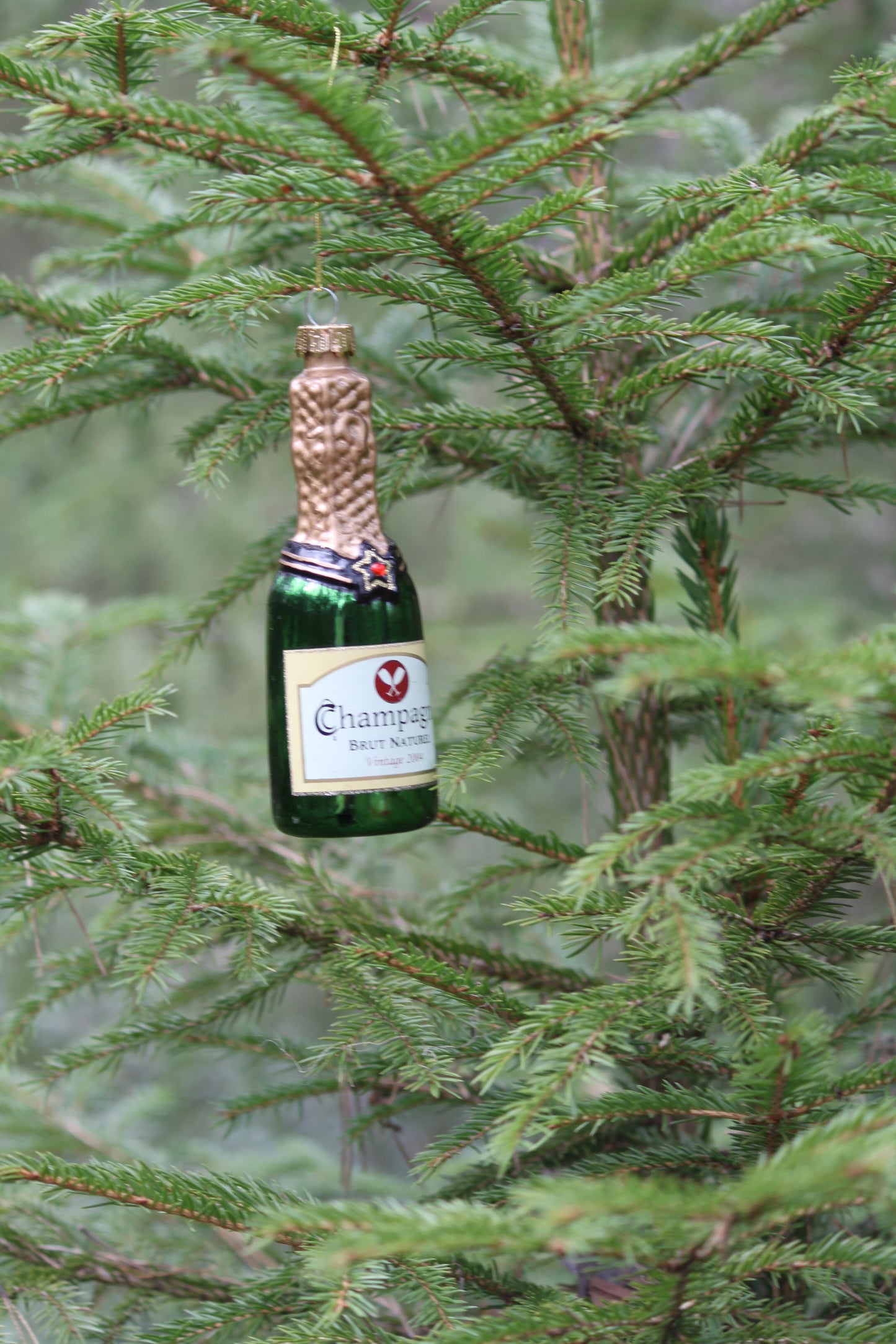 Julkula i glas - Champagne