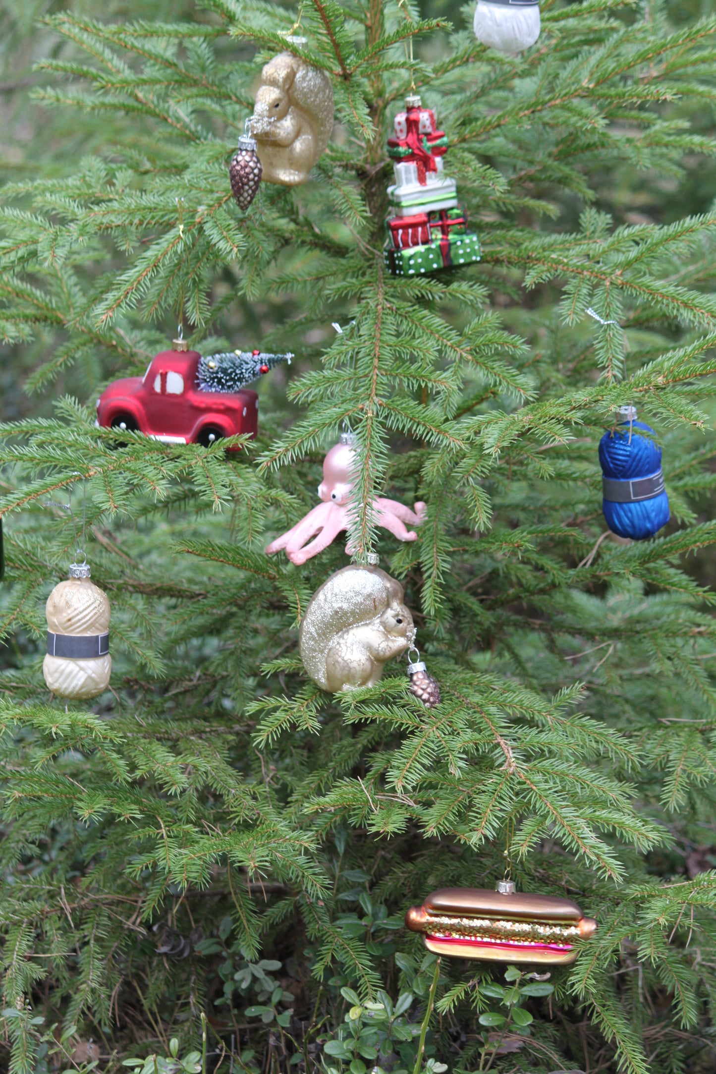 Julkula i glas -Sköldpadda