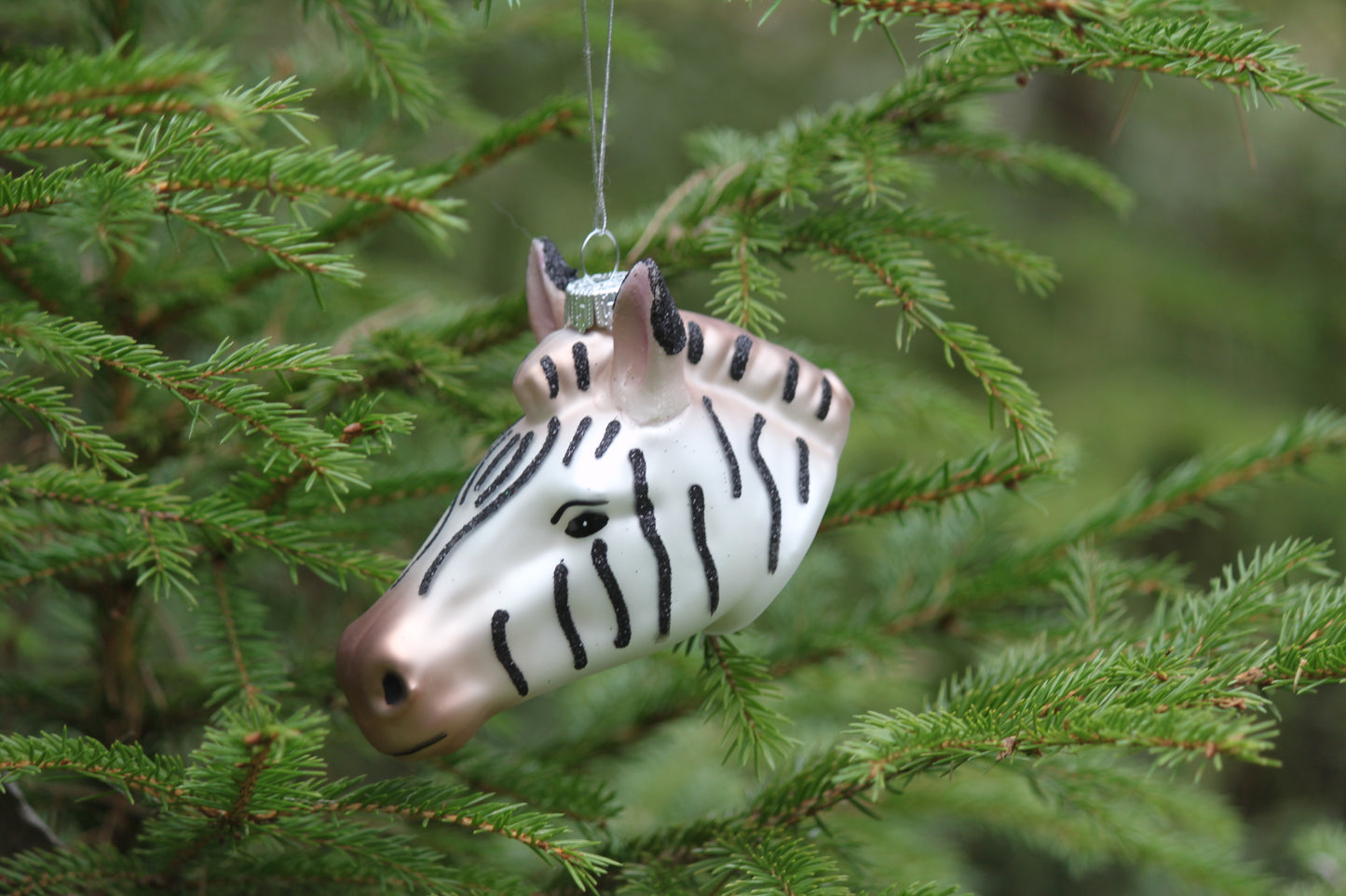 Julkula i glas -Zebra