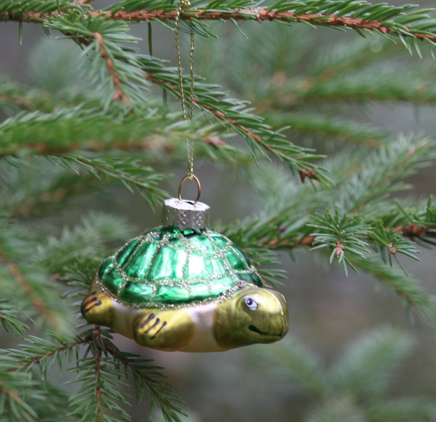 Julkula i glas -Sköldpadda